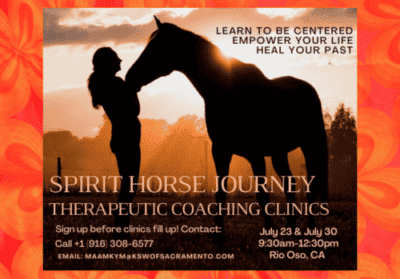 Spirit Horse Journey