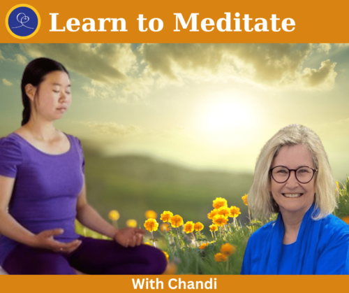 Learn to Meditate with Chandi