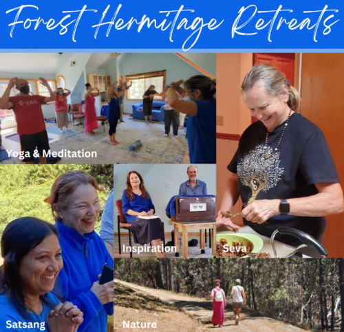 Forest-Hermitage-Retreats-1