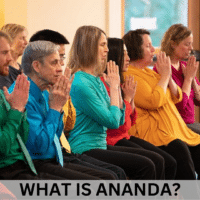 What is Ananda Button