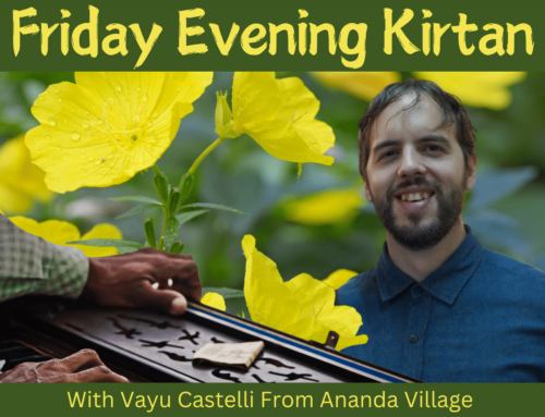 Ananda Kirtan with Vayu Castelli