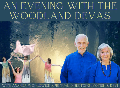 An Evening with the Woodland Devas