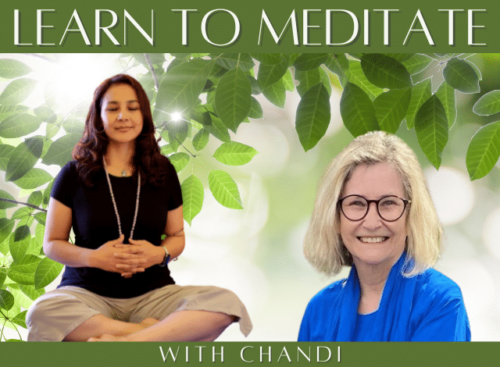 Learn to Meditate with Chandi