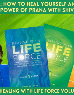 Healing with Life Force Part 2 Mind